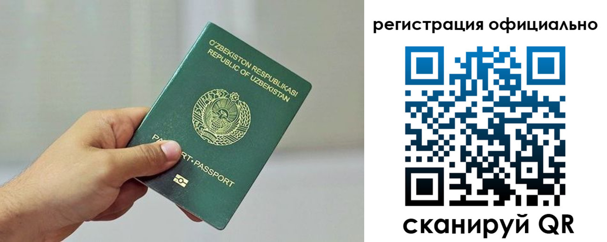 прописка в квартире в Ворсме