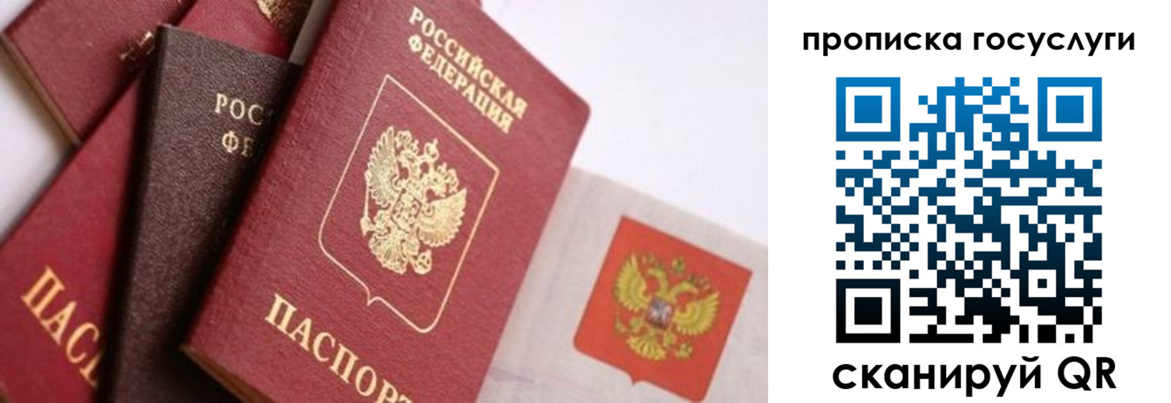 прописка законно в Ворсме